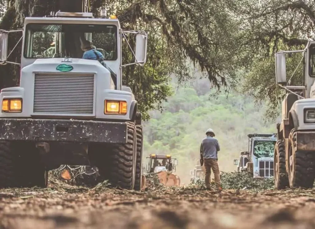 Land clearing heavy equipment